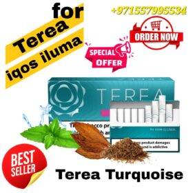 Terea Turquoise