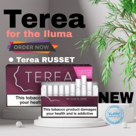 IQOS ILUMA TEREA Russet