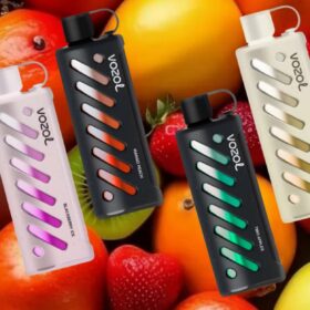 Vozol Shisha 25K Puffs